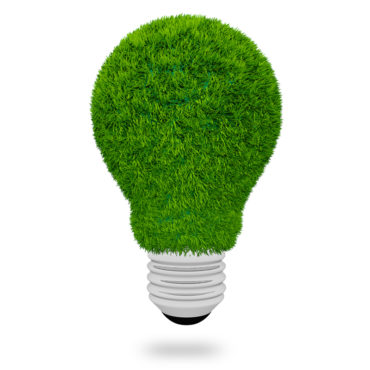 light bulb made of green grass on white background